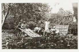 Práce ve školní zahradě při škole v Hutisku, 30. léta 20. stol. (inv. č. 267)/Work in the school garden at the school in Hutisko, 1930s (inv. no. 267)