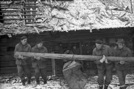 2_Demontáž vnitřního zařízení valchy ve Velkých Karlovicích, 1971 / Dismantling the interior fixtures of the fulling mill in Velké Karlovice, 1971