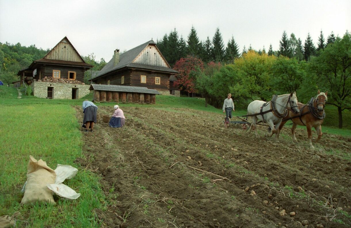 Podzim na poli a v chalupě