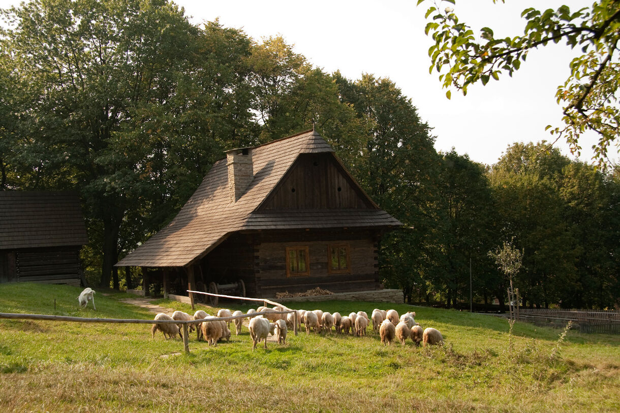 Lidová architektura a koncepční vývoj areálu Valašská dědina
