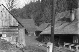 4_Pohled do dvora usedlosti čp. 38, 1964 / A view of the yard of farmstead no. 38, 1964