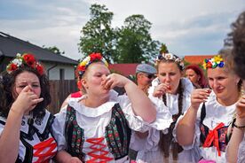 Družičky ve Starých Ždánicích, 2019. Foto: Lenka Jedličková, Muzeum v přírodě Vysočina