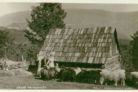 3. Lázeňští hosté na výletě k salaši, 1930 / Spa guests on a trip to a shepherd’s hut, 1930