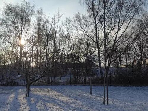 Zahradníkův rok - Zimní ořez ovocných stromů