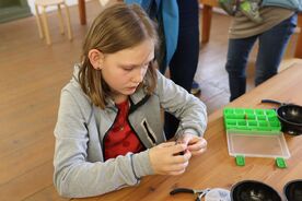 Z workshopu Korále z klokočí, 2023. Foto: Pavel Bulena, Muzeum v přírodě Vysočina