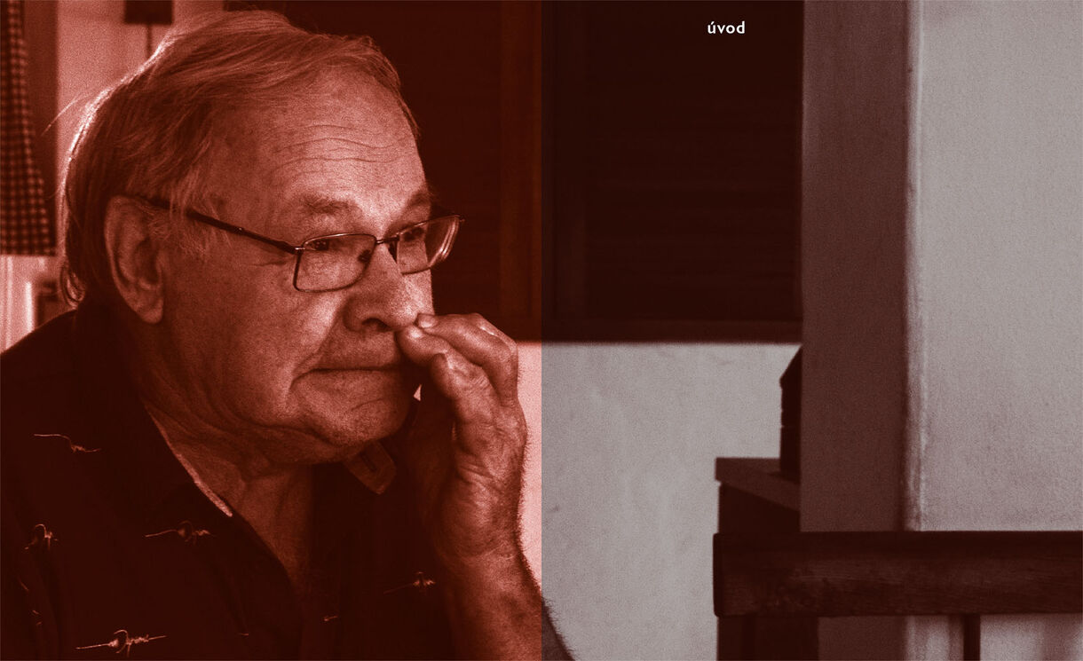 Václav Kubát - "Správná hračka"