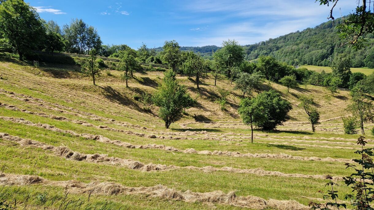Projekt OKliBio v Muzeu v přírodě Zubrnice