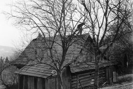 3_ Strhávání šindelové střešní krytiny, 1964 / Tearing down the shingle roofing, 1964