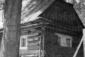 2_ Dům čp. 12 v Trojanovicích, čelní štítová stěna s uloženým dřevem, 1980 / House no. 12 in Trojanovice, front gable wall with stored firewood, 1980