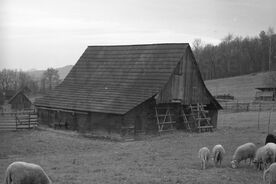 9_Valašská dědina, chlév při usedlosti, 1973 / The Wallachian Village, the cowshed by the highland farm, 1973