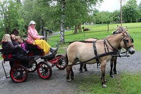 Jízda v kočáru s koňským spřežením, 2024. Foto: Pavel Bulena, Muzeum v přírodě Vysočina
