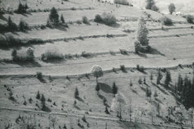 3. Nedašov – krajina s pastvinami a poli, 50. léta 20. století / Nedašov – landscape with pastures and fields, the 1950s