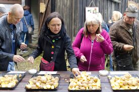 Ochutnávka různých odrůd brambor, 2023<br />  Foto: Muzeum v přírodě Vysočina.