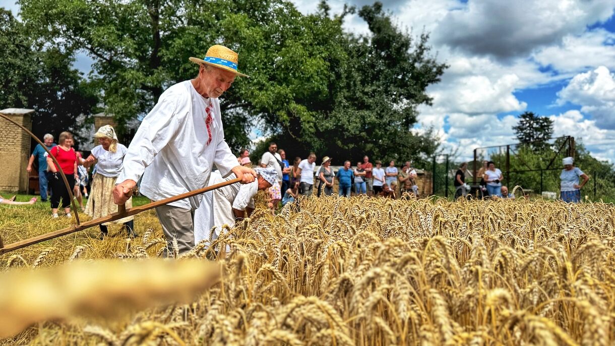 Přijďte se podívat na tradiční žně na hanáckém gruntu