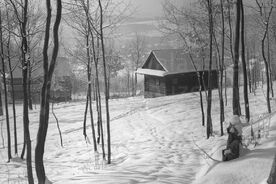 6_Obydlí bezzemka, 1998 / The landless commoner’s cottage, 1998