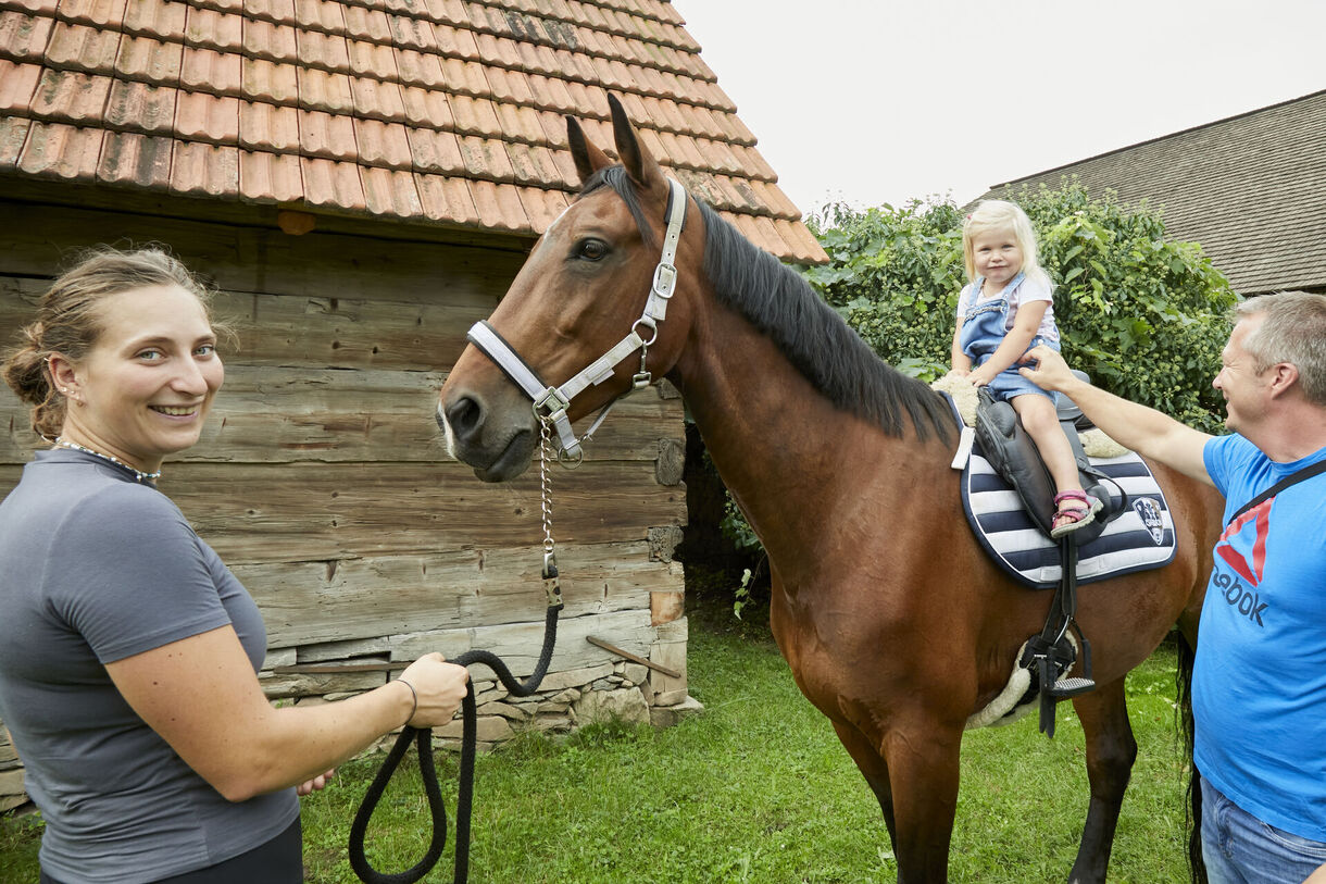 Staňte se dobrovolníkem Hanáckého muzea v přírodě v Příkazích!