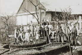 Práce ve školní zahradě v Kunovicích, 30. léta 20. stol. (inv. č. 267)/Work in the school garden in Kunovice, 1930s (inv. no. 267)