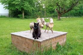 Zahradníkův rok-Škůdci 2<br />  