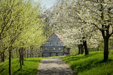 Národní muzeum v přírodě se představuje – program v rožnovském muzeu v pondělí 5. 7. 2021